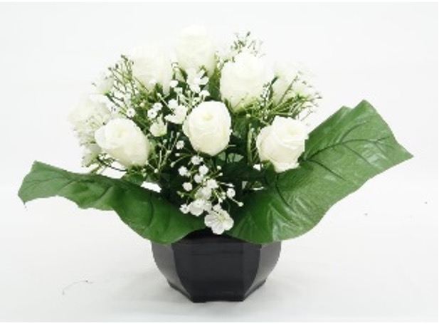 FLEURS BLANCHE 